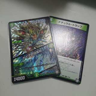 バラギアラ、ナチュラルトラップ