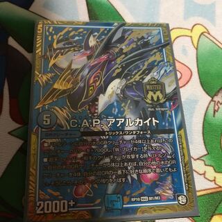 キャプテンアアルカイト