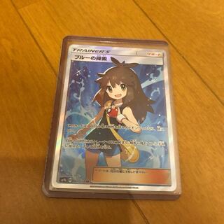 ブルーの探索 sr