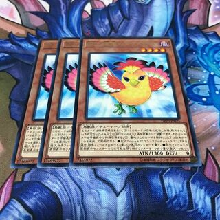 BF-南風のアウステル 3枚