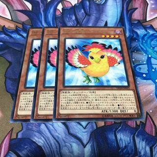 BF-南風のアウステル 3枚