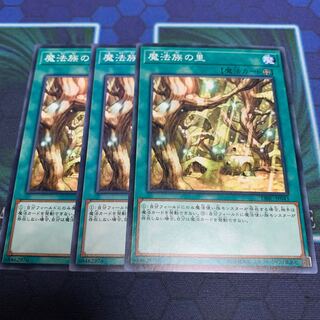 Secret Village of the Spellcasters Normal