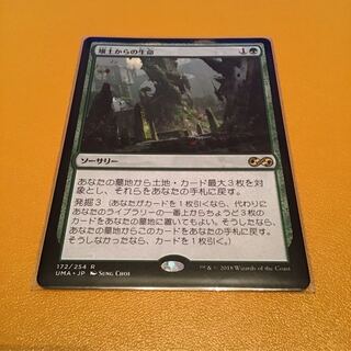 「壌土からの生命」日本語版1枚