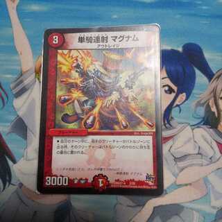 勝ち取りたい物も無い無欲な馬鹿にはなれない方専用 1枚