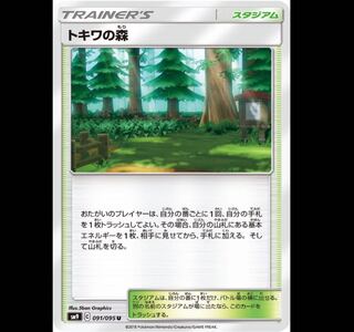 トキワの森 2枚