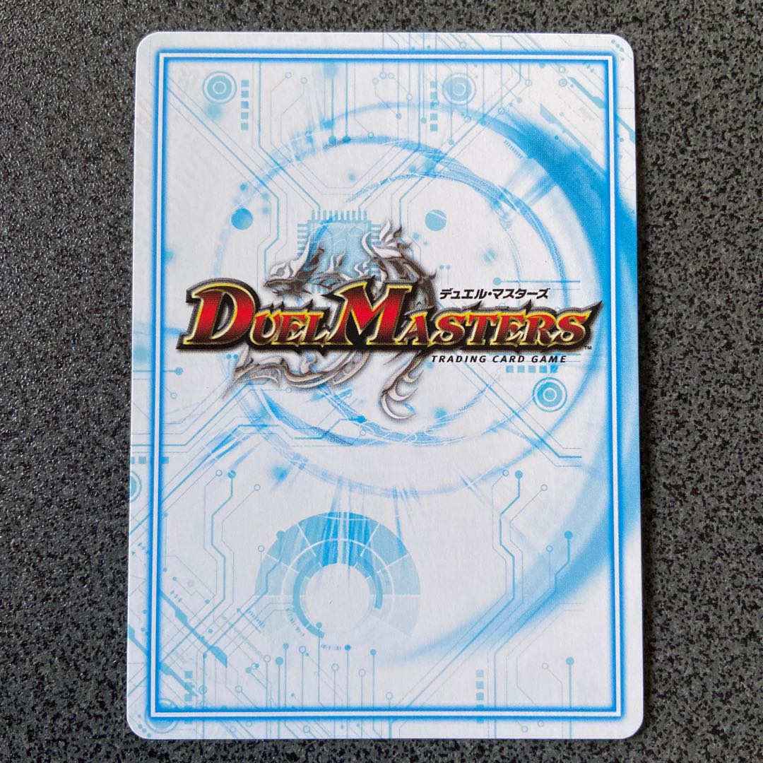 鋼ド級 ダテンクウェールB SR