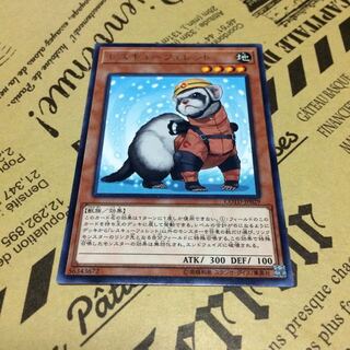 レスキューフェレット【R】