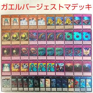 【遊戯王 デッキ】バージェストマアノマロカリス 粋カエル 魔知ガエル 王宮の勅命