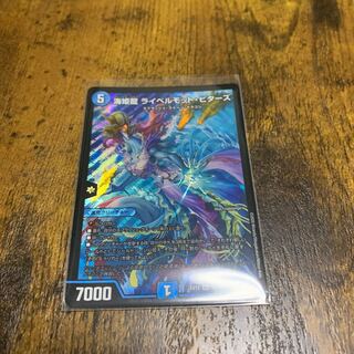 海姫龍 ライベルモット・ビターズ SR