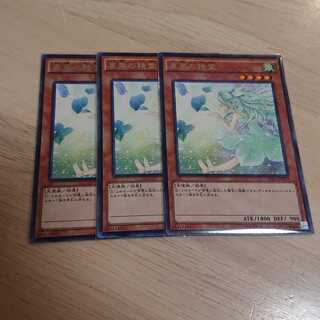 裏風の精霊 レア  3枚