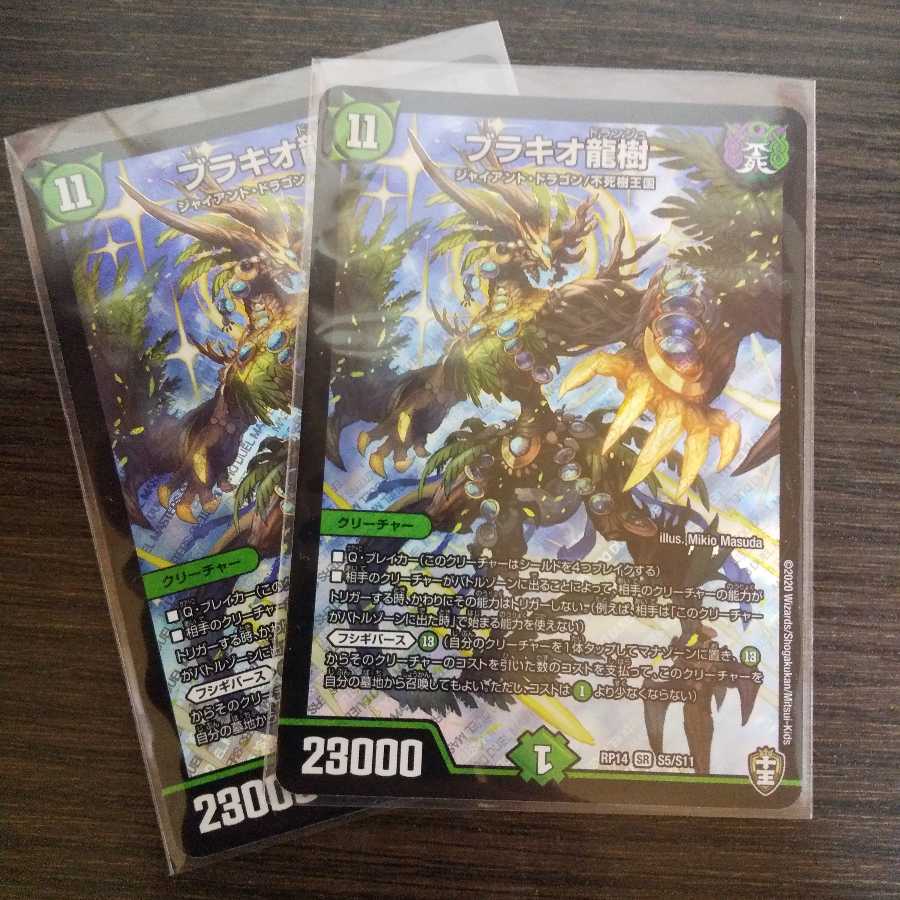 ブラキオ龍樹 2枚セット