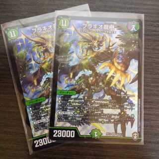 ブラキオ龍樹 2枚セット