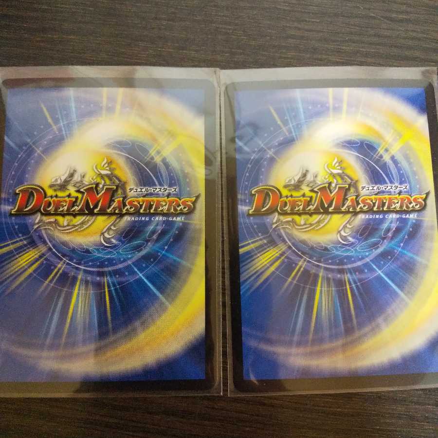 ブラキオ龍樹 2枚セット