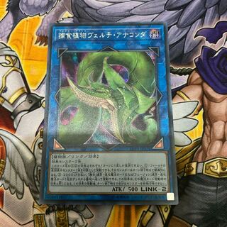 遊戯王 捕食植物ヴェルテ・アナコンダ シークレットレア