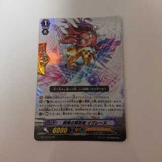 剣陣の解放者 イグレーヌ