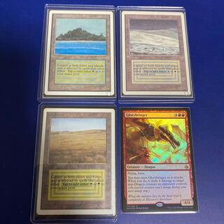 スミヨン様専用 tundra tropical island savannah