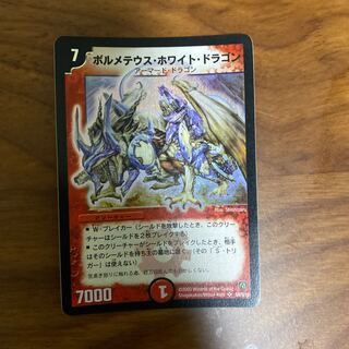 ボルメテウス・ホワイト・ドラゴン