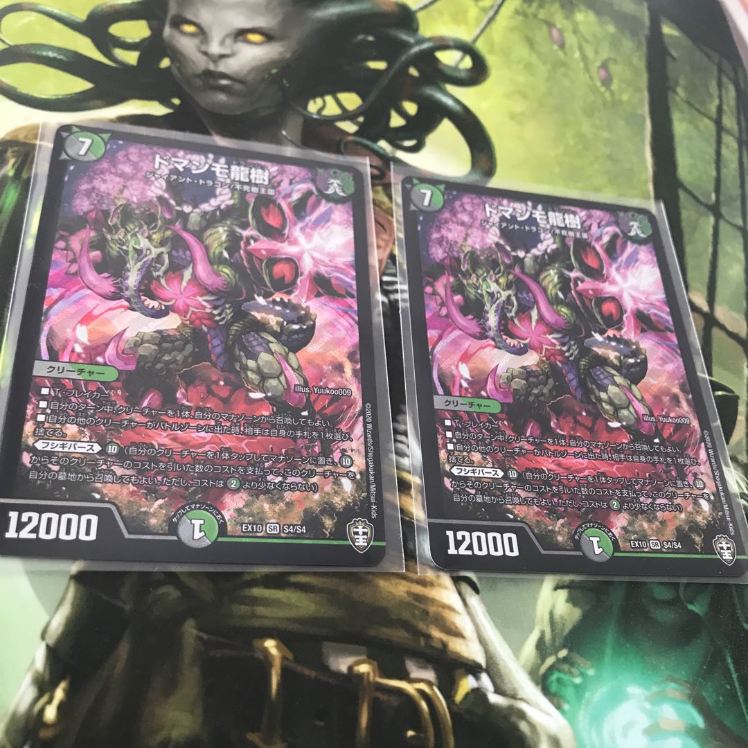 ドマンモ龍樹　2枚セット