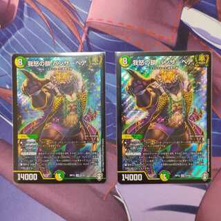 我怒の鎖 パンサーベア 2枚