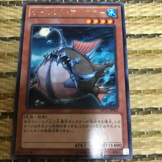 マドレース サイレント・アングラー レア