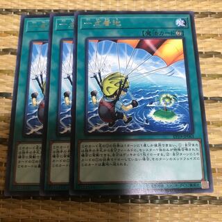 マドレース 一点着地 レア