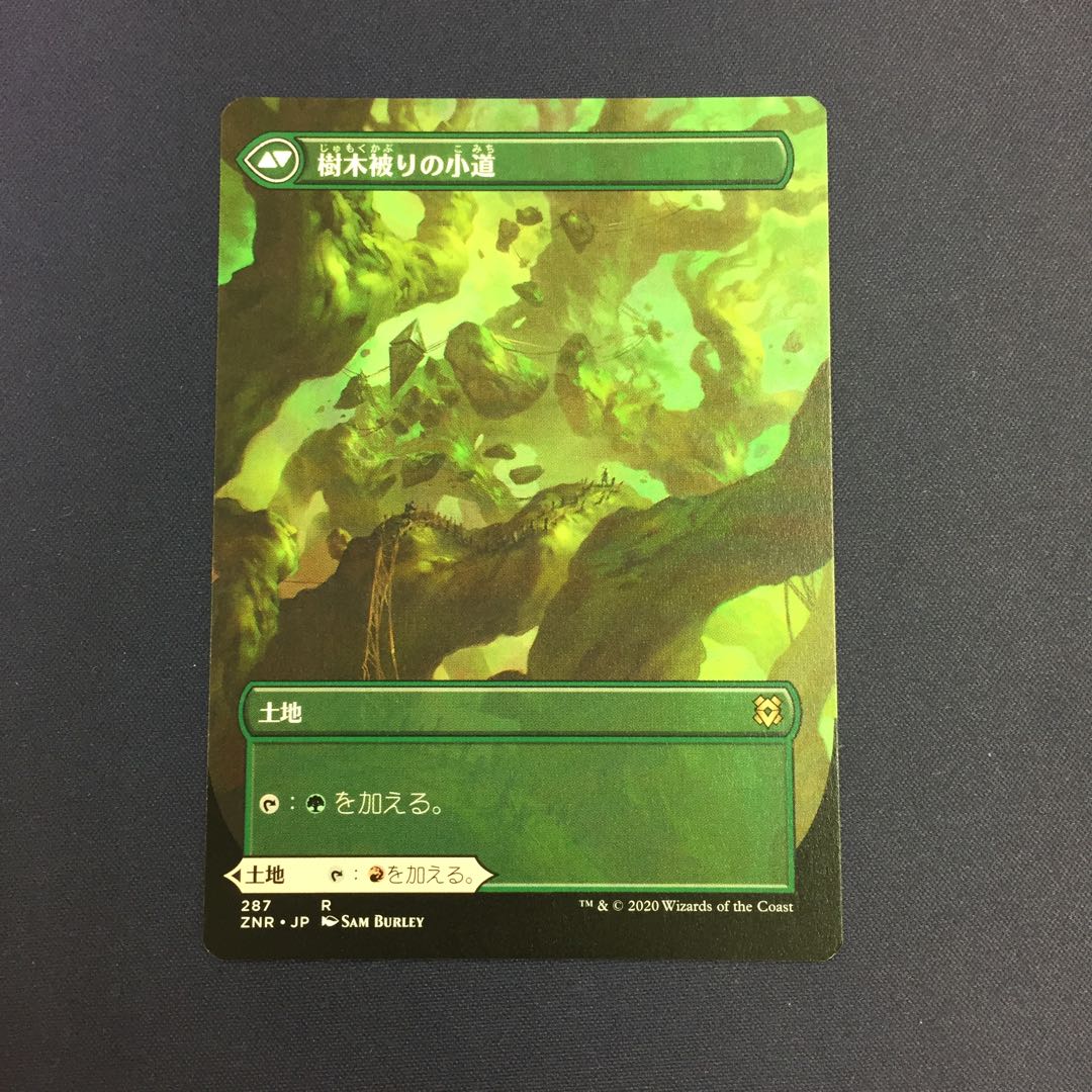 岩山被りの小道 樹木被りの小道 拡張アート