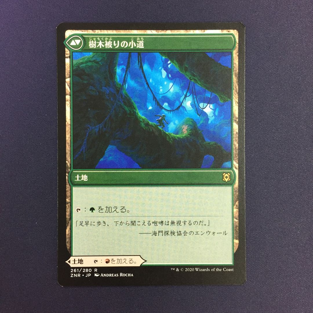 岩山被りの小道 樹木被りの小道