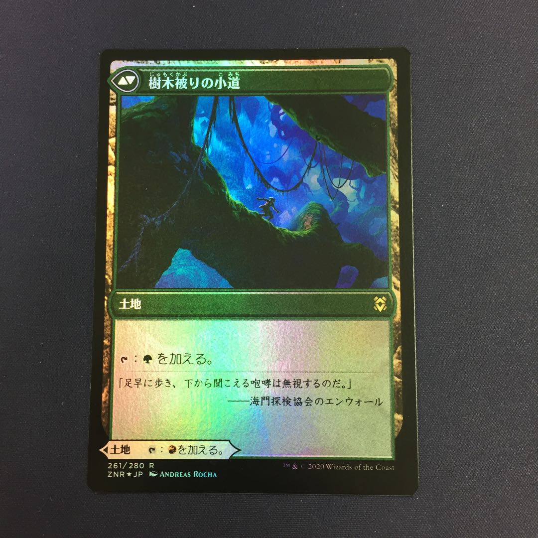 岩山被りの小道 樹木被りの小道 foil