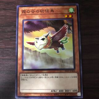 霞の谷の幼怪鳥