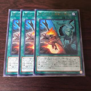 妨げられた壊獣の眠り 3枚