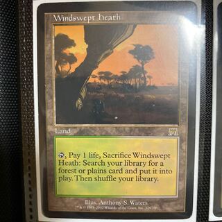 MTG 吹きさらしの荒野　英