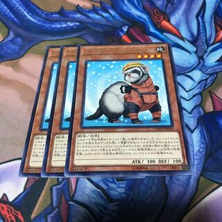 レスキューフェレット 3枚