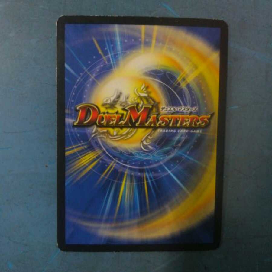 scarlet様専用 1枚