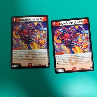 BUNBUN・ヴァイカー2枚セット