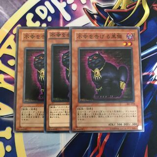 不幸を告げる黒猫