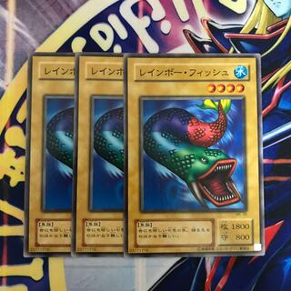 レインボー・フィッシュ