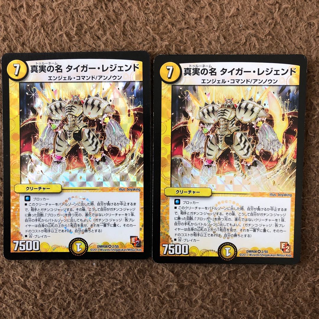 真実の名 タイガー・レジェンド