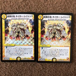 真実の名 タイガー・レジェンド