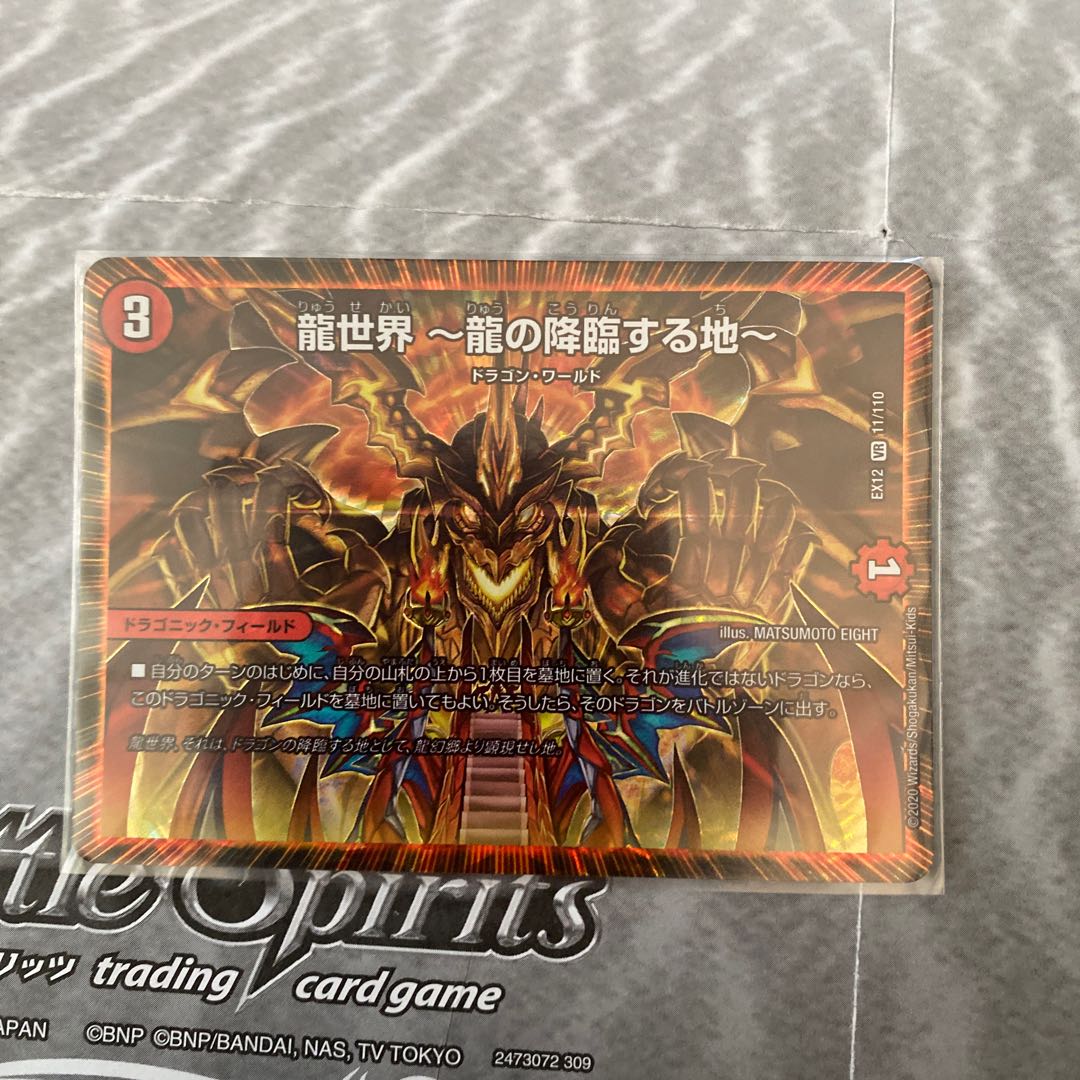 龍世界 -龍の降臨する地-