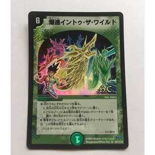 爆進イントゥ・ザ・ワイルド