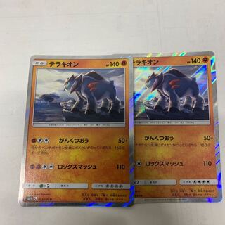 テラキオンR2枚セット 2枚