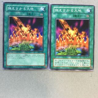 燃えさかる大地　２枚