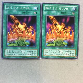燃えさかる大地　２枚