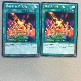 燃えさかる大地　２枚