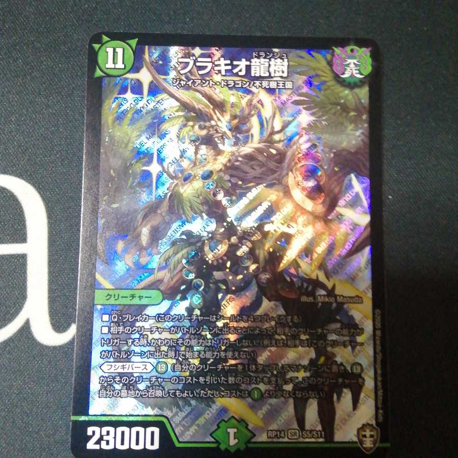 ブラキオ龍樹 1枚