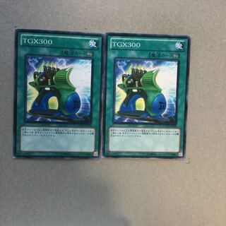 TGX300 ２枚
