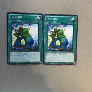 TGX300 ２枚