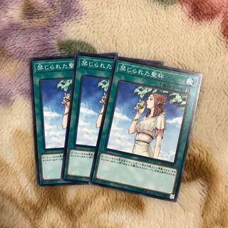 禁じられた聖杯