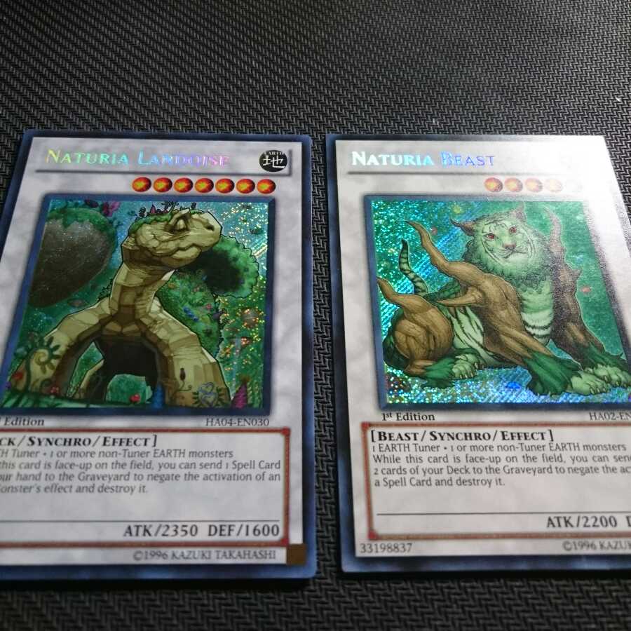 英語 ナチュル シク