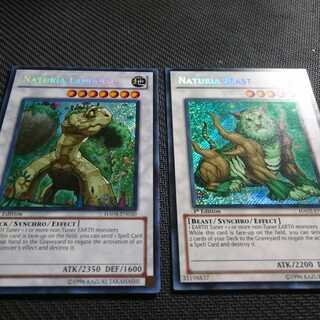 英語 ナチュル シク